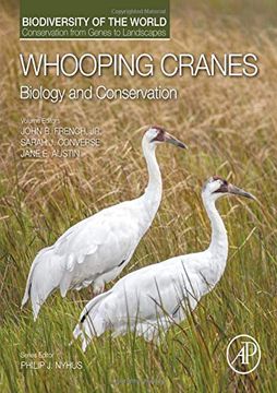 portada Whooping Cranes: Biology and Conservation: Biodiversity of the World: Conservation From Genes to Landscapes (in English)