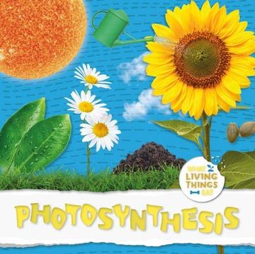 portada Photosynthesis (What Living Things Eat) (in English)