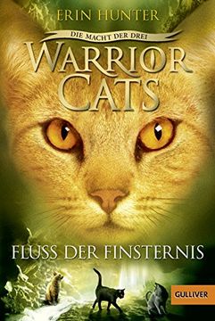 portada Warrior Cats - die Macht der Drei. Fluss der Finsternis: Iii, Band 2 (in German)
