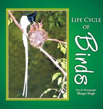 portada Life Cycle of Birds