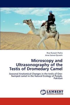 portada microscopy and ultrasonography of the testis of dromedary camel (en Inglés)