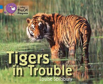 portada Tigers in Trouble: Band 04 Blue/Band 12 Copper (en Inglés)