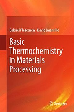 portada Basic Thermochemistry in Materials Processing (en Inglés)