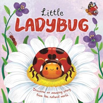 portada Nature Stories: Little Ladybug Discover an Amazing Story From the Natural World: Padded Board Book (en Inglés)