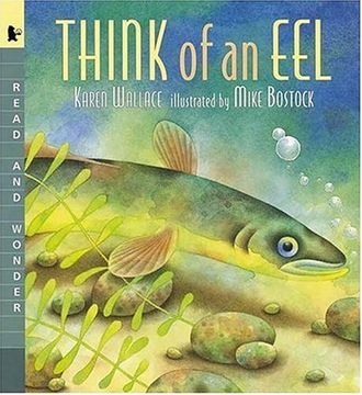 portada Think of an Eel: Read and Wonder (in English)