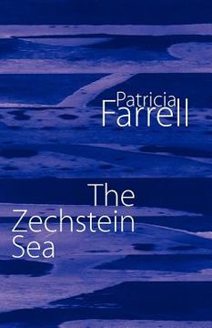 portada the zechstein sea (in English)