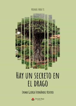 portada Hay un Secreto en el Drago