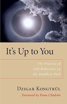 portada It's up to You: The Practice of Self-Reflection on the Buddhist Path (en Inglés)