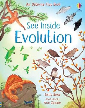 See Inside Evolution (en Inglés)
