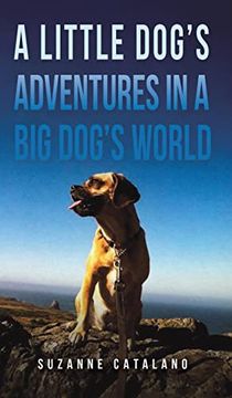 portada A Little Dog's Adventures in a big Dog's World (en Inglés)