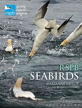 portada Rspb Seabirds (en Inglés)