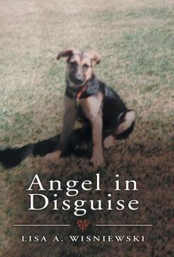 portada Angel in Disguise (in English)