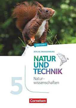 portada Natur und Technik 5. /6. Schuljahr: Naturwissenschaften - Arbeitsheft - 5. Schuljahr: Berlin/Brandenburg (in German)