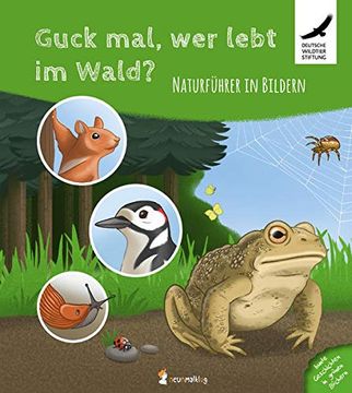portada Guck Mal, wer Lebt im Wald? Naturführer in Bildern (en Alemán)
