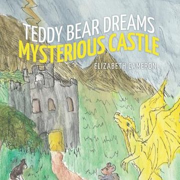 portada Teddy Bear Dreams Mysterious Castle (in English)