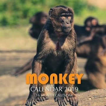 portada Monkey Calendar 2019: 16 Month Calendar (en Inglés)