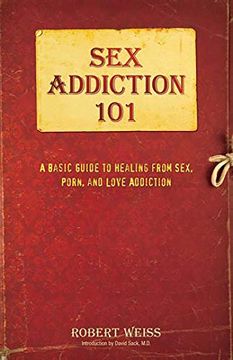 portada Sex Addiction 101: A Basic Guide to Healing From Sex, Porn, and Love Addiction (en Inglés)