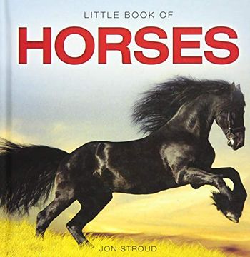 portada Horses (Little Books) (en Inglés)