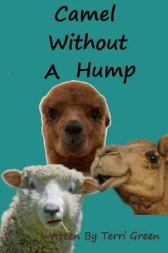 portada Camel Without A Hump
