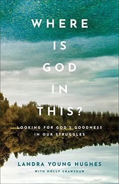 portada Where is god in This? Looking for God'S Goodness in our Struggles (en Inglés)