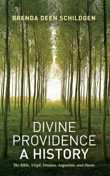 portada divine providence (en Inglés)