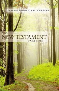 portada NIV, Outreach New Testament, Paperback