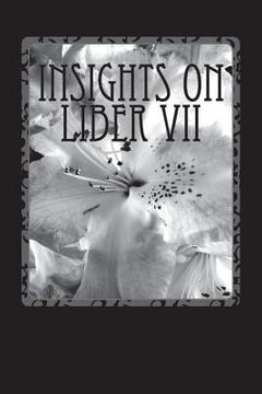 portada Insights on Liber VII