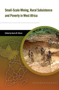 portada small-scale mining, rural subsistence and poverty in west africa (en Inglés)