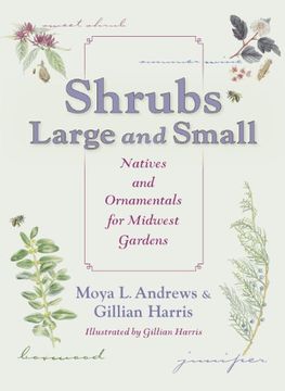 portada Shrubs Large and Small: Natives and Ornamentals for Midwest Gardens (in English)