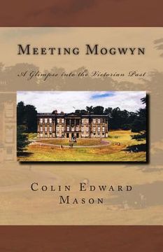 portada Meeting Mogwyn: A Glimpse into the Victorian Past