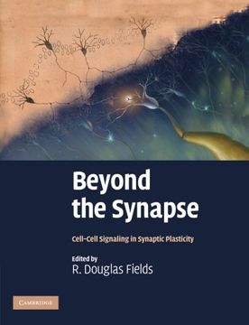 portada Beyond the Synapse Paperback (en Inglés)