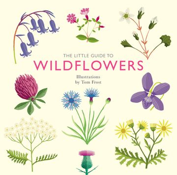 portada The Little Guide to Wildflowers (Little Guides) (en Inglés)