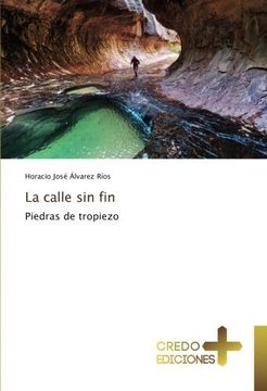 portada La calle sin fin: Piedras de tropiezo (Spanish Edition)
