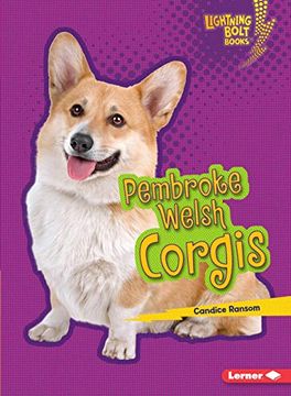 portada Pembroke Welsh Corgis (Lightning Bolt Books: Who's a Good Dog? ) (en Inglés)