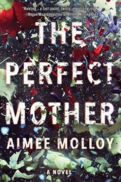 portada The Perfect Mother: A Novel 