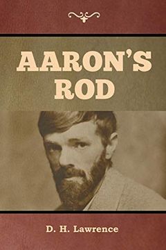 portada Aaron's rod (in English)