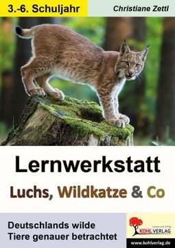 portada Lernwerkstatt Luchs, Wildkatze & co: Deutschlands Wilde Tiere Genauer Betrachtet (en Alemán)