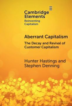 portada Aberrant Capitalism (en Inglés)