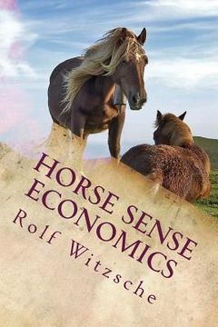 portada Horse Sense Economics: The Kaleidoscope Project (en Inglés)