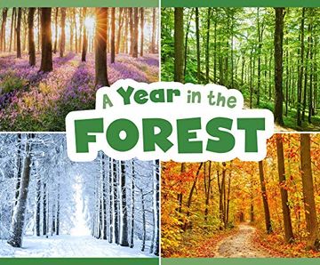 portada A Year in the Forest (Season to Season) (en Inglés)