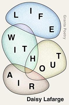 portada Life Without air (in English)