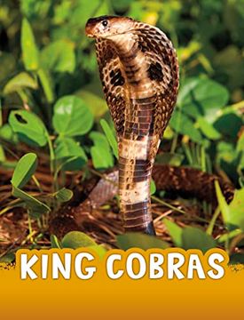 portada King Cobras (in English)