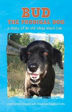 portada Bud The Prodigal Dog: a story of an old stray black Lab (en Inglés)