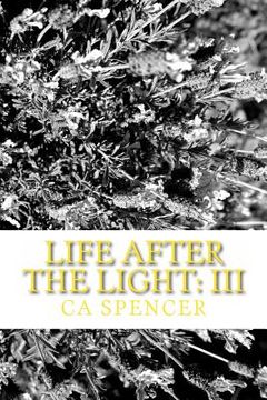 portada Life After The Light: III (en Inglés)