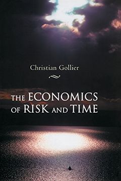 portada The Economics of Risk and Time (The mit Press) (en Inglés)