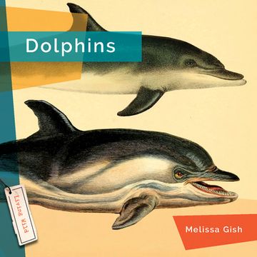 portada Dolphins