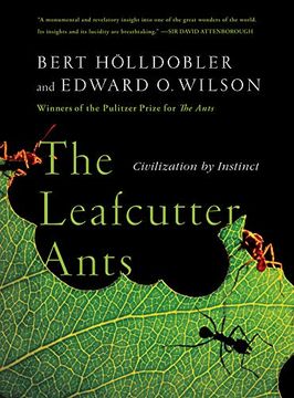 portada The Leafcutter Ants: Civilization by Instinct (en Inglés)