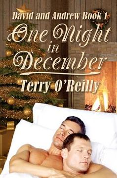 portada david and andrew book 1: one night in december (in English)