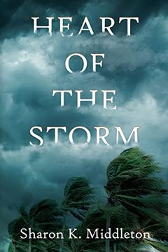 portada Heart of the Storm (a Mccarron's Corner Mystery) (en Inglés)