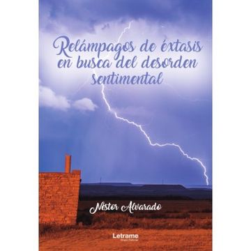 portada Relámpagos de Éxtasis en Busca del Desorden Sentimental (in Spanish)
